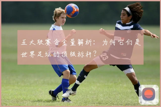 五大联赛含金量解析:为何它们是世界足坛的顶级标杆?